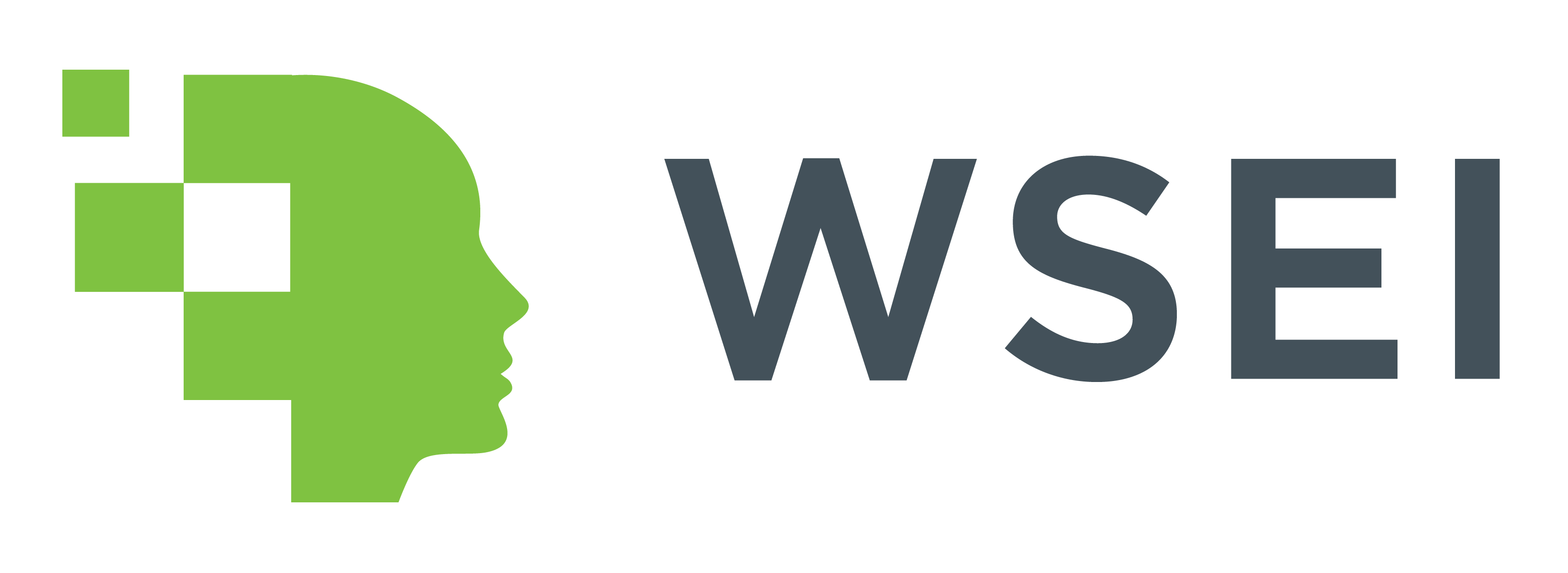 WSEI Logo